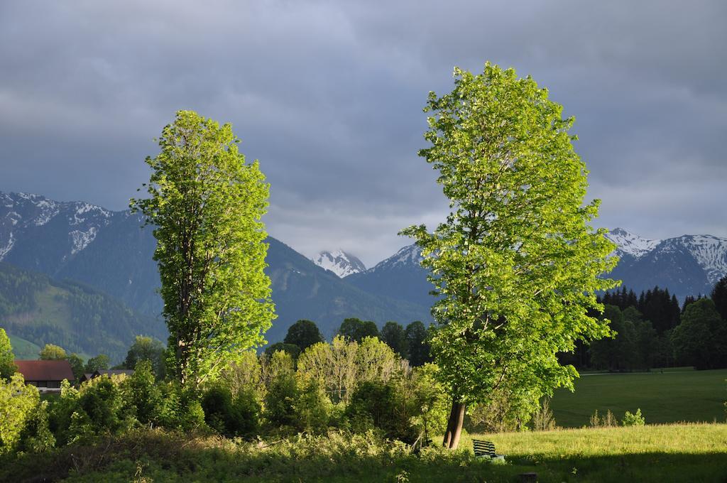 Apartmenthaus Dornroeschen Ramsau am Dachstein Exteriör bild