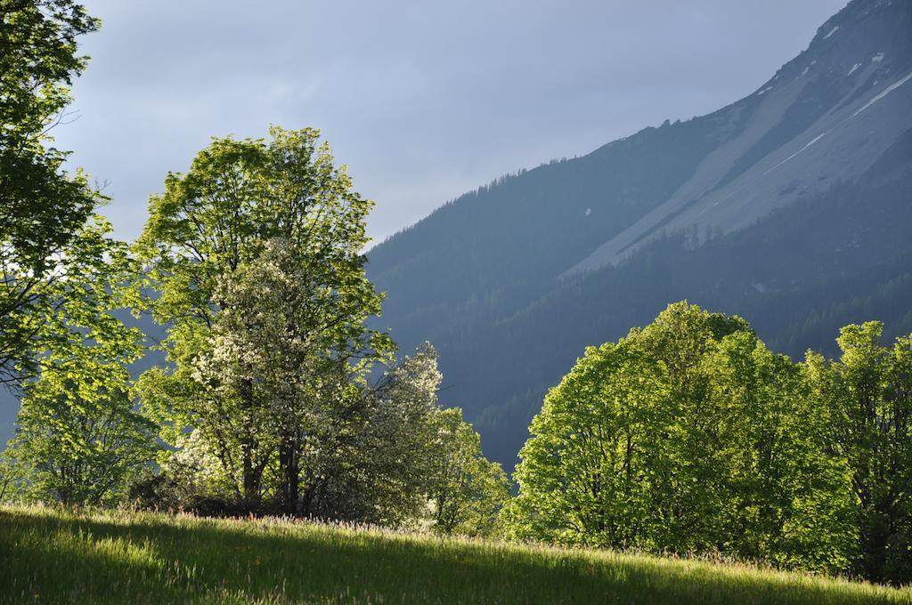 Apartmenthaus Dornroeschen Ramsau am Dachstein Exteriör bild